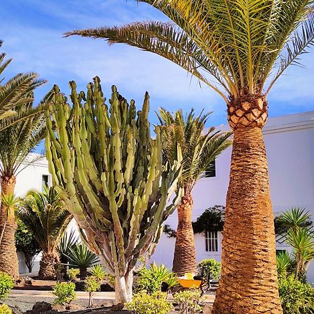 Flor De Las Dunas Pools Wifi Tennis Bikes For Free Corralejo Dış mekan fotoğraf