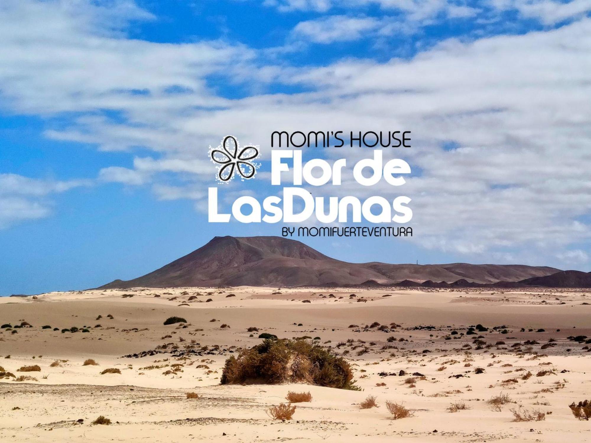 Flor De Las Dunas Pools Wifi Tennis Bikes For Free Corralejo Dış mekan fotoğraf